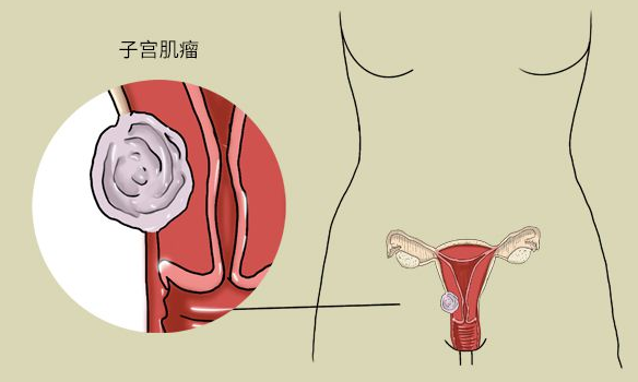 微信图片_20250113151305.png